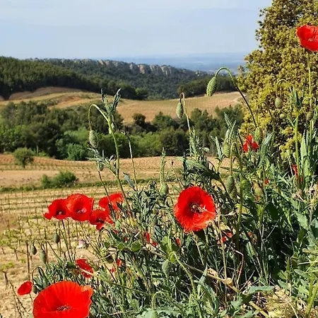 Nyaraló Des Fleurs