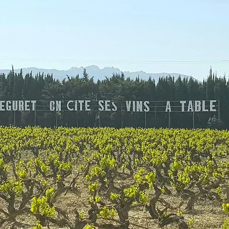 Des Fleurs * Séguret